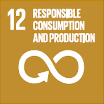Sustainable Development Goal 12