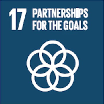 Sustainable Development Goal 17
