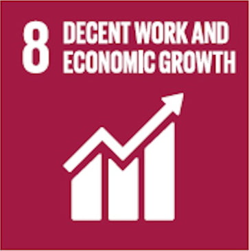 Sustainable Development Goal 8